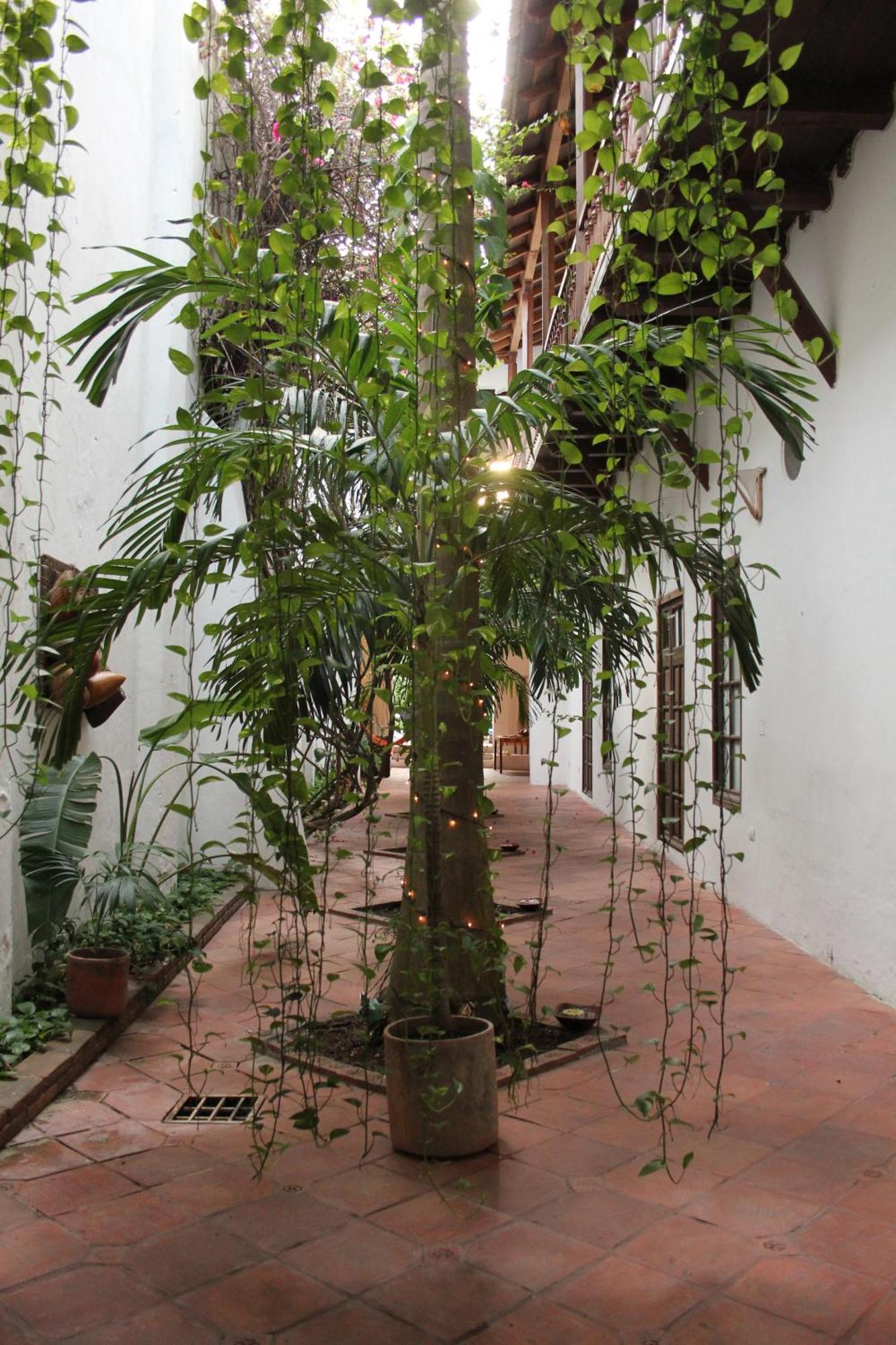 Hotel Casa Del Tejadillo à Cartagène Extérieur photo