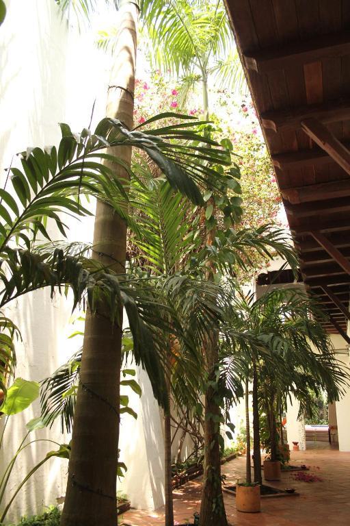 Hotel Casa Del Tejadillo à Cartagène Extérieur photo